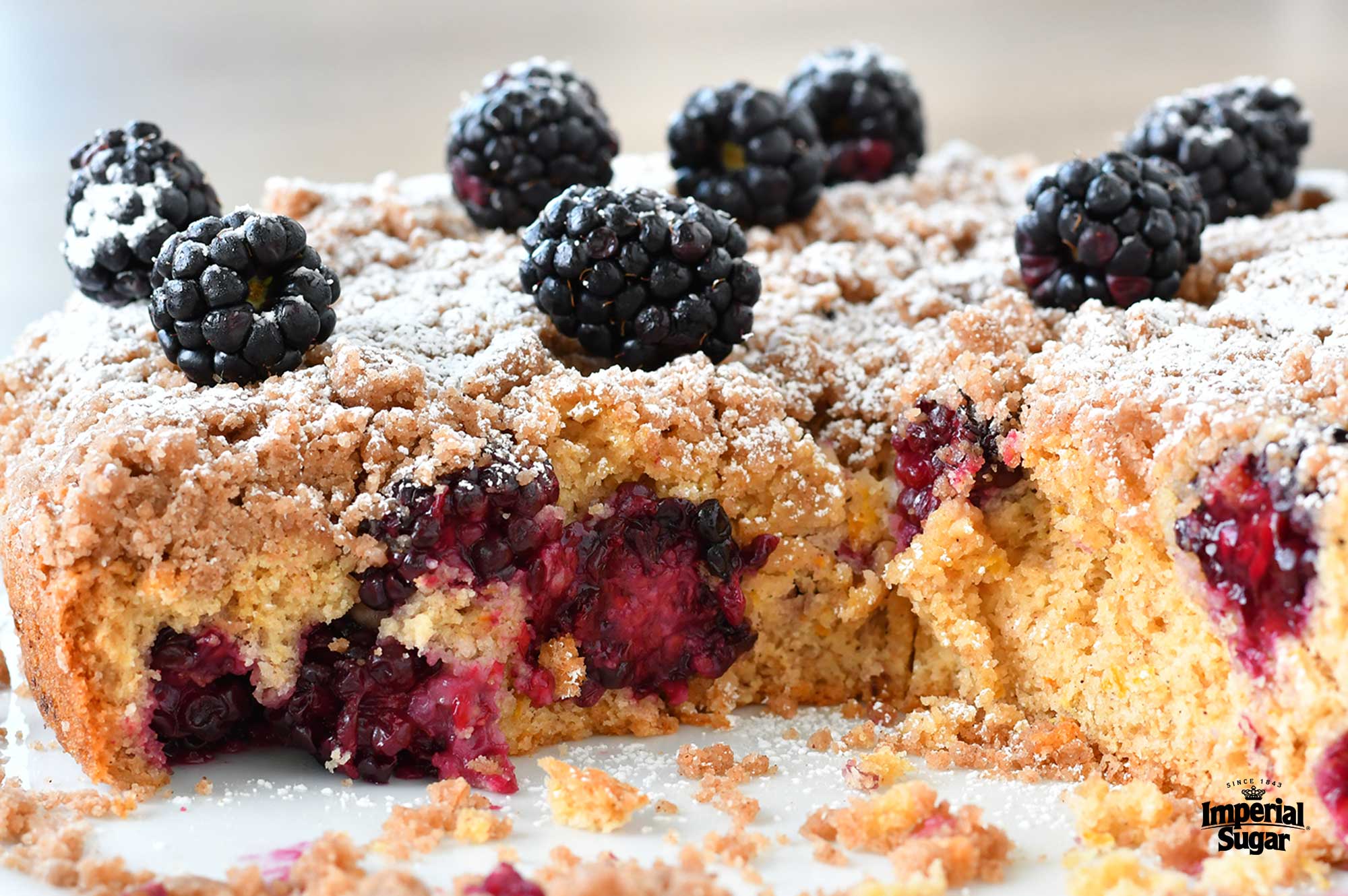 Blackberry Coffee Cake Sweet, Crunchy, Delicious - whattomunch.com