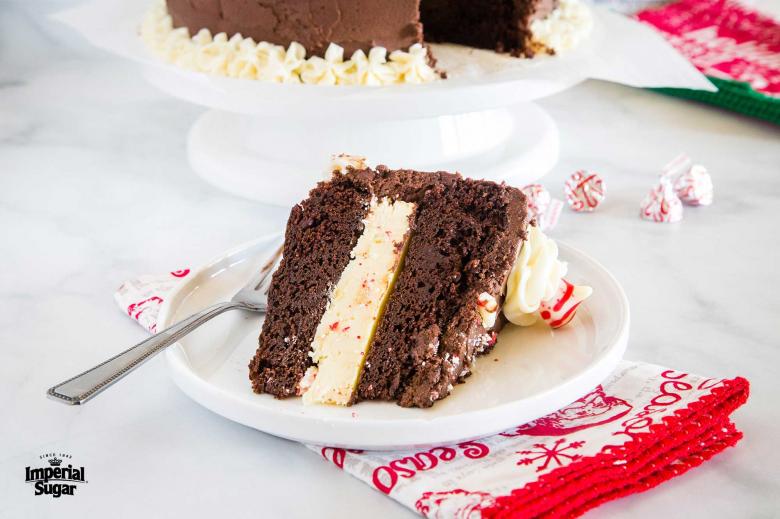 THE BEST Chocolate Peppermint Cake - Scientifically Sweet